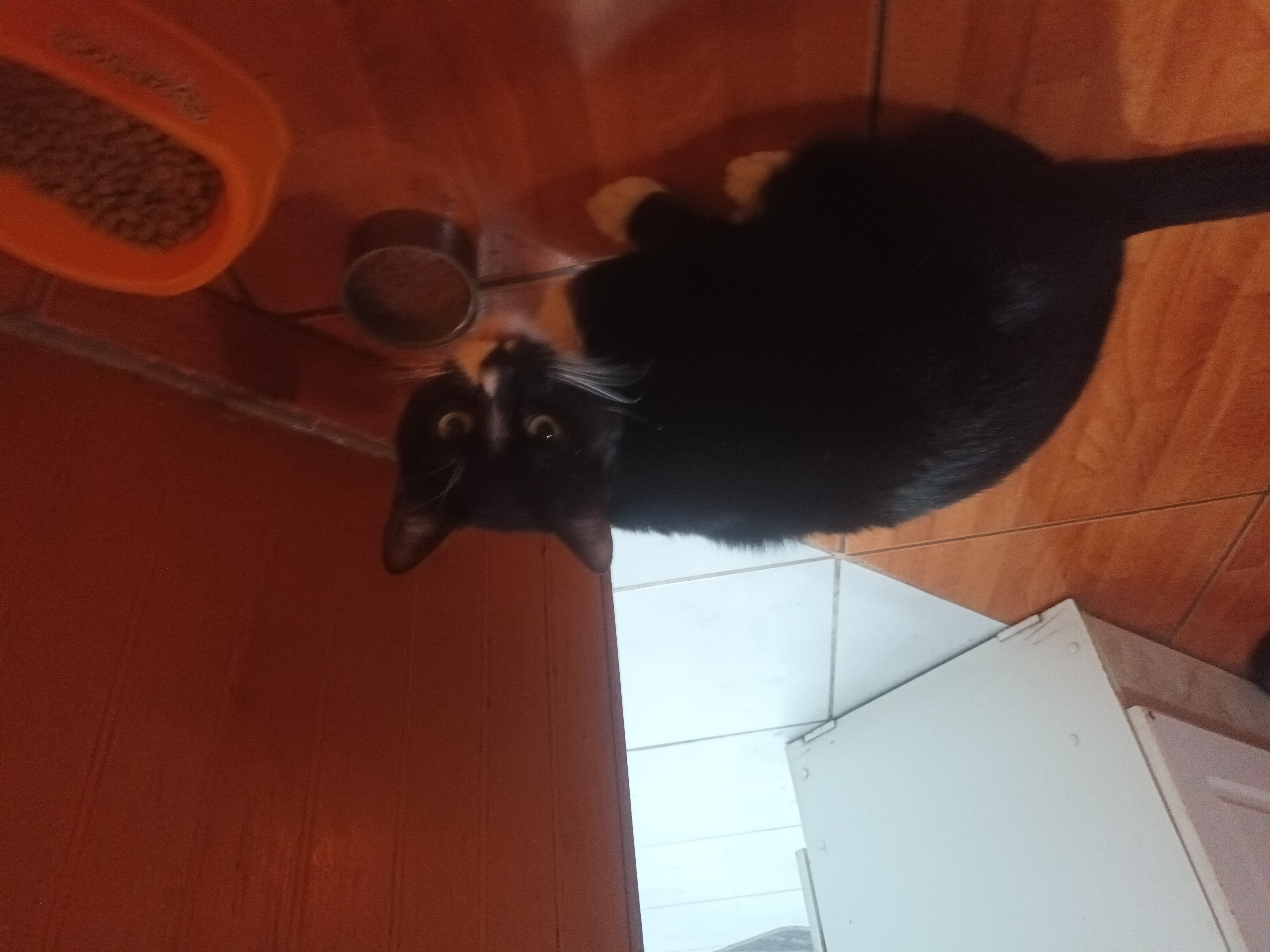 Nico comiendo